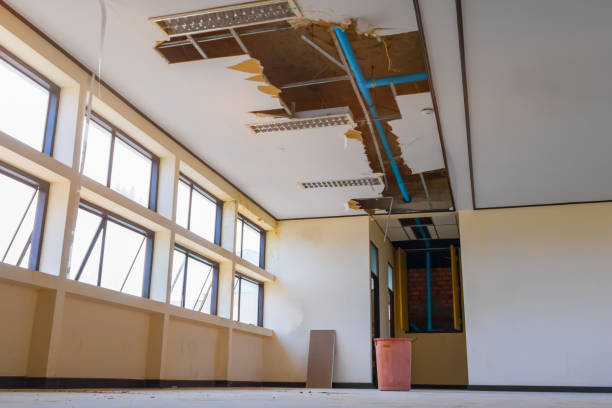 Best Mold removal after water damage  in Lake Ketchum, WA