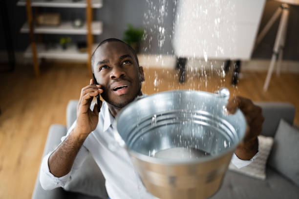 Best Professional water damage repair  in Lake Ketchum, WA