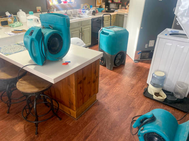 Best Commercial water damage restoration  in Lake Ketchum, WA
