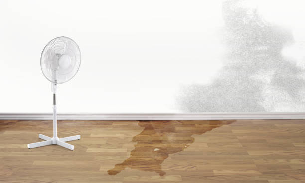Best Emergency water damage restoration  in Lake Ketchum, WA