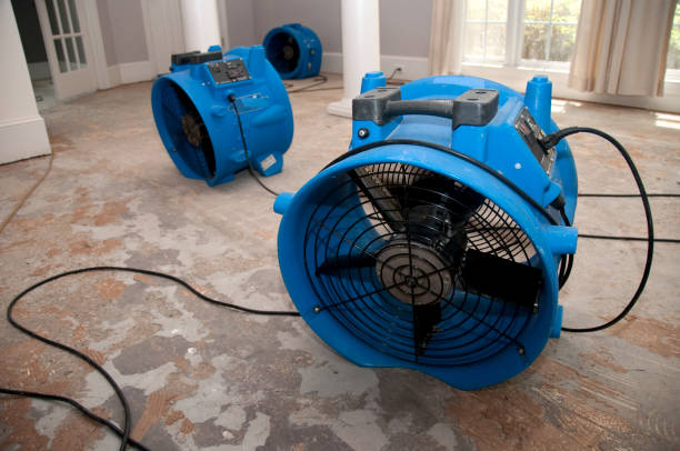 Best Local water damage restoration  in Lake Ketchum, WA