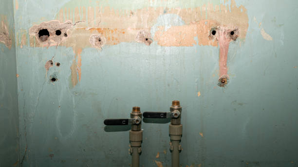 Best Flood damage cleanup  in Lake Ketchum, WA