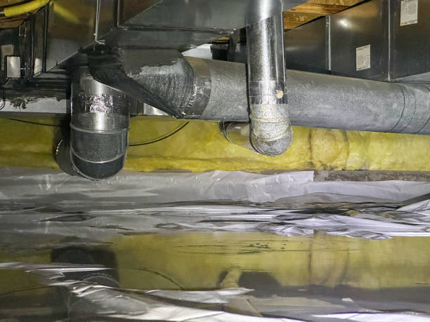 Best Flood restoration services  in Lake Ketchum, WA