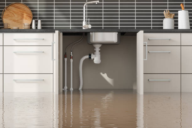 Best Carpet water damage restoration  in Lake Ketchum, WA