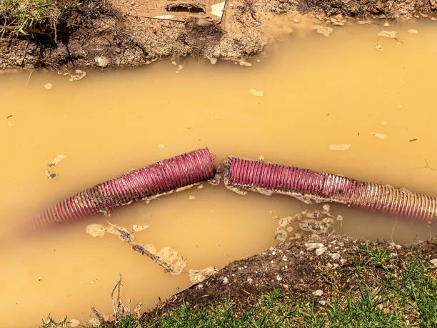 Best Water damage contractors near me  in Lake Ketchum, WA